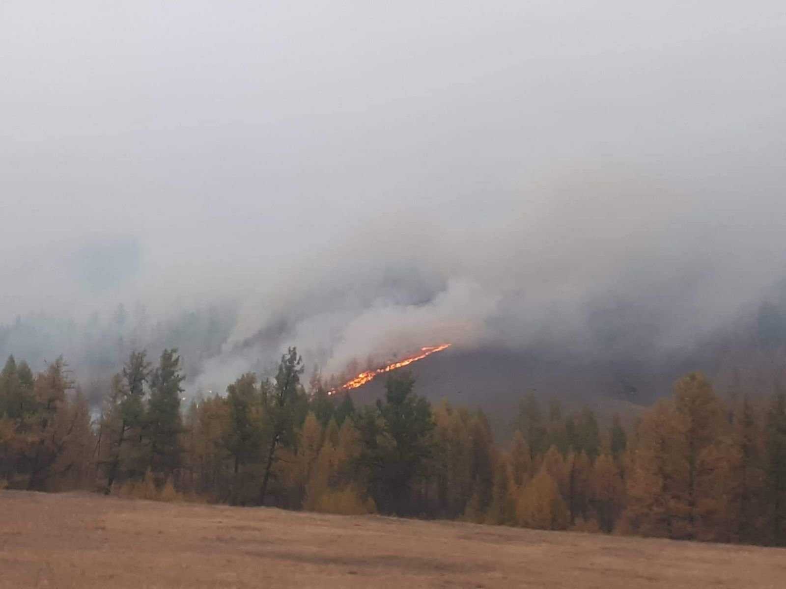 Завханд гарсан ойн түмэр Орос руу тархжээ